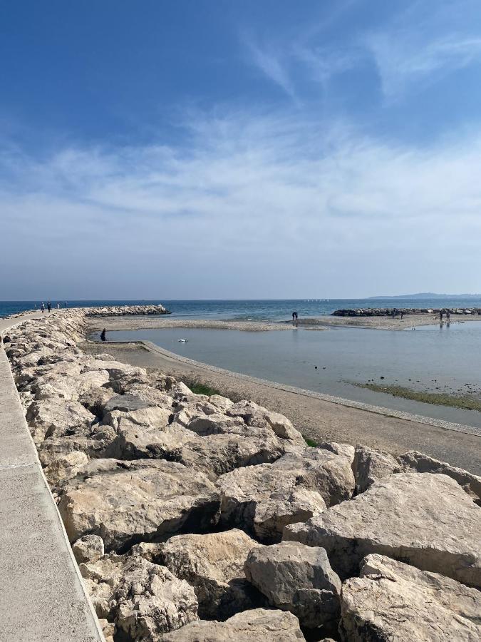 50M Plage / 200M Hippodrome 2 Pieces Jardin Garage Cagnes-sur-Mer Kültér fotó